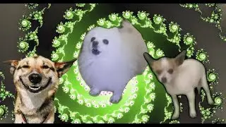 Pumped up Borks