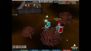 Spankin im hamstered