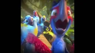 All the birds of a feather // rio edit