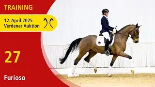 27 Furioso by Fusionist - Lauries Crusador xx | Verden Auction OnLive - Training - April, 12th