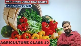 AGRICULTURE class 10th