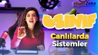 3.Fasikül | 6.Sınıf Max Fen Bilimleri | Canlılarda Sistemler| Sayfa: 17 - 21