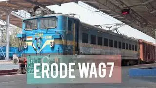 Erode wag7