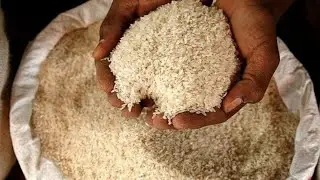 TDP demands CBI probe into sudden rise in rice exports from Kakinada port