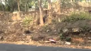 Vimochana yatra