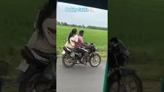 Paddy fields #ytshorts #trending#paddycrop #paddy #journey #viralshorts