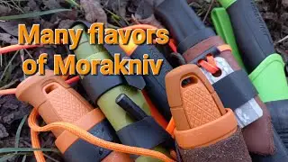 Morakniv options, well worth the $$