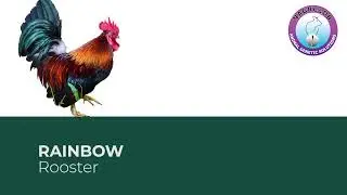 NAGRC&DB&rsquo;s Chicken Breed Stock for the Parish Development Model (PDM)