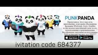 Punk Panda - почти все ответы в Белой бумаге. Полный обзор.