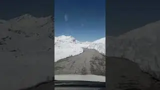 baralacha pass #thetribalhusky #snow #baralachapass
