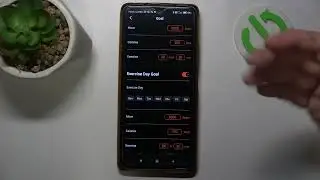 How To Adjust Goals In Smartring ICE RING