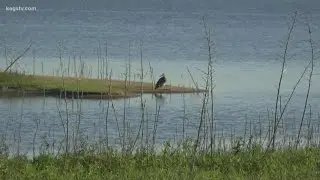 Water search on Lake Somerville