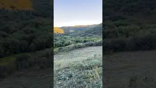 Hard to beat a CO sunrise! #colorado #bear #hunting #animals #wildlife #nature #outdoors #fyp #fall