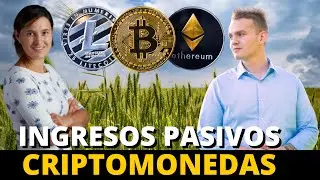 🚜YIELD FARMING: Entrevista Con ALEXIS 🟡CRYPTO ¡No Te La Pierdas!