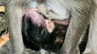First Time and baby but young mom Suction so good experience and heartwarming