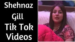 Shehnaz Gill New Tik Tok Video Songs | Shehnaz Gill Tik Tok Funny Videos