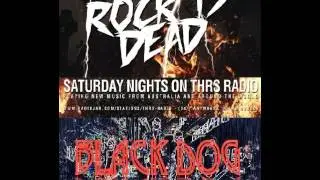 Black Dog Extended Interview