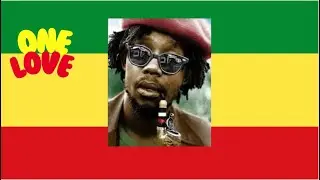 Peter Tosh - Pick Myself Up ft. Jah P