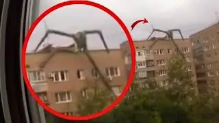 The Most Disturbing Cryptid Footage Ever Captured