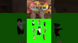 Chinese Bath Song on Cat Piano