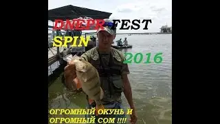 Dnepr Fest Spin 2016 Днепр Фест Спин 2016 Огромный Окунь Огромный Сом