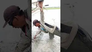 HAMPIR SAJA NGELINDES SEBARAN😱😱😱
