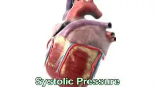 Understanding a Blood Pressure Reading (Health Guru Tip)