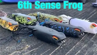 Finally 6thsense Relased their Frogs! #6thsensevegafrog