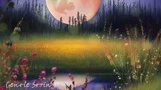 Soft Guitar Melody for Relaxation | Gentle Acoustic Guitar Music to Calm Your Mind