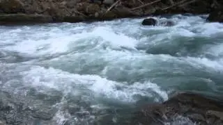 Ohanapecosh River by Mt. Rainier