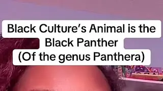 Black Culture&rsquo;s Animal is the Black Panther & Has a Strict Meaning, not Mystical