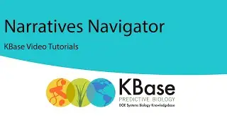 Narratives Navigator Guide