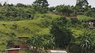 Silent Monitoring