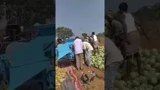watermelon seeds separating machine 🥰