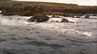 Kayaking Nigg Bay