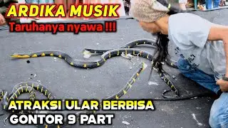 Atraksi Ular Berbahaya Ardika Musik gontor 9 Area