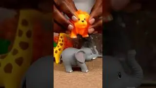 These Colorful Rubber Animals Will Hijack Your Brain in 10 Seconds #asmr #oddly #statisfying