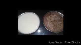 Paputtu recipe
