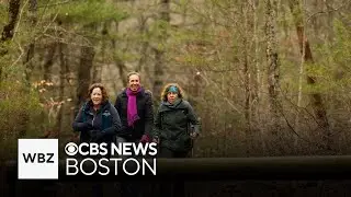 Weekend To Do List: Meet Santa on the North Shore, decorate cookies and a winter wonderland hike