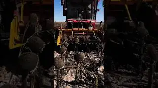 Advanced Sunflower Seed Harvesting Machine &ndash; Efficient & Fast! #SunflowerHarvest #FarmingTech