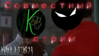 СОВМЕСТНЫЙ СТРИМ | Kvaka X St1ng3R 