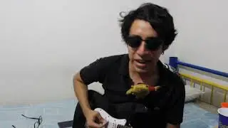 Molotov - Gimme Tha Power(Cover con toque Punk)