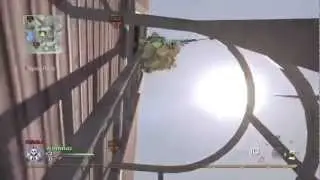 HOLY KOALA CLIMB!!