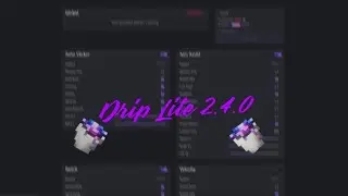 Drip Lite (200$ client) - Best Web Gui Bypass all SS Tools & Screenshare