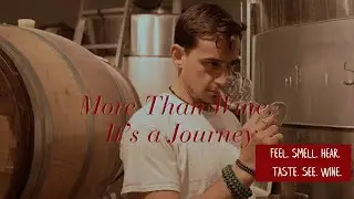 🎬 Experience Wine with All 5 Senses &ndash; Our Interactive Cellar | Podere La Marronaia