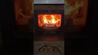 Burning Oak Logs 🔥 #asmr #fireplace