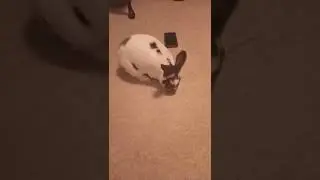 He is calm and content