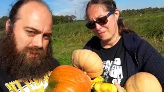 PUMPKIN PICKING on LONG ISLAND New York - Where to go and what to do?