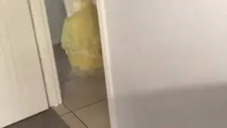 Fwop