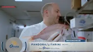 CHEFS OCEAN SEAFOOD SERIES